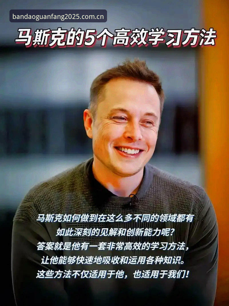 5个关键步骤教你高效完成半岛娱乐官网登录与2025新版下载